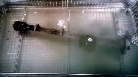 Digitaler Heizungs-Timer Edelstahl Industrie Automobilteile Ultraschallreiniger Jp-480st